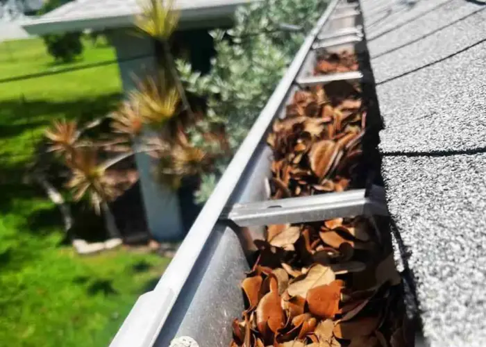 Helena gutter cleaning home page